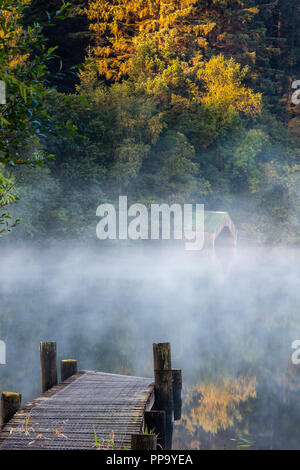 Una nebbiosa mattina autunnale a Loch Ard vicino Aberfoyle nel Trossachs National Park Foto Stock