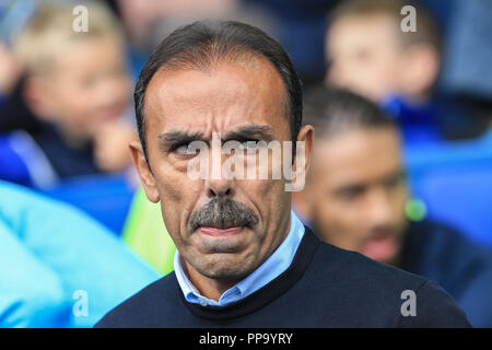 Il 15 settembre 2018, Hillsborough, Sheffield, Inghilterra; Sky scommessa campionato EFL, Sheffield Mercoledì v Stoke City ; Jos Luhukay presepe di Sheffield ci Foto Stock