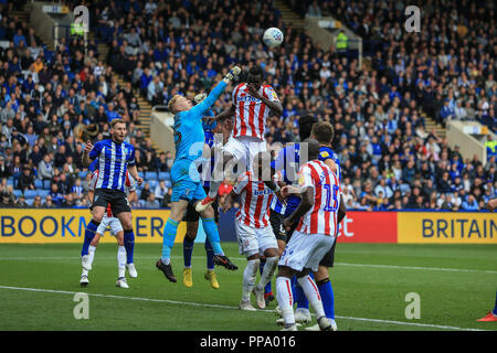 Il 15 settembre 2018, Hillsborough, Sheffield, Inghilterra; Sky scommessa campionato EFL, Sheffield Mercoledì v Stoke City ; Cameron Dawson di Sheffield Wednes Foto Stock