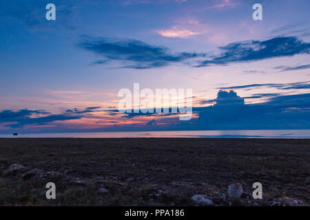 Tramonto in area rurale oltre il campo di grano. In tarda serata foto riprese con profondità di campo ridotta. Foto Stock