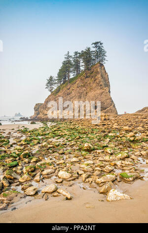 Aghi di Quileute mare pile, a seconda spiaggia, parte di La Push Beach, Pacific Coast, il Parco Nazionale di Olympic, nello stato di Washington, USA Foto Stock