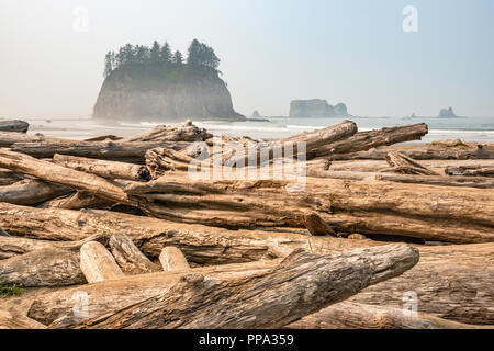 Driftwood sulla spiaggia, Quileute aghi in dist, nebbia, a seconda spiaggia, parte di La Push Beach, Pacific Coast, il Parco Nazionale di Olympic, nello stato di Washington, USA Foto Stock