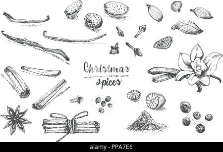 Set di disegnato a mano inverno Natale spezie pattern. Tradizionalmente utilizzate in fatto di dolci, vin brulé e biscotti fatti in casa. Illustrazione Vettoriale