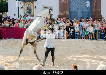 Fuengirola un caballo. Evento annuale, giorno dei cavalli, celebrazione, evento, Fuengirola, Malaga, Spagna. Settembre 2018 Foto Stock