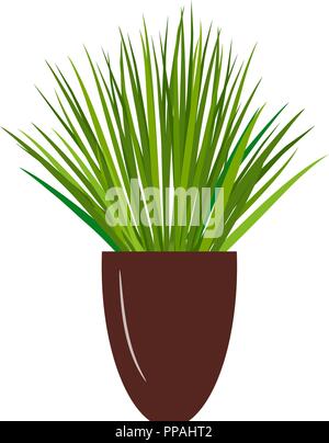 Decorazione di interni, Sansevieria trifasciata o impianto di serpente isolare su sfondo bianco Illustrazione Vettoriale