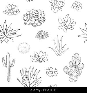 Succulento seamless pattern, disegnati a mano illustrazione vettoriale. Delineare schizzo chalk stile. Collezione di succulente. natura elementi. per cartoline, posters, ban Illustrazione Vettoriale