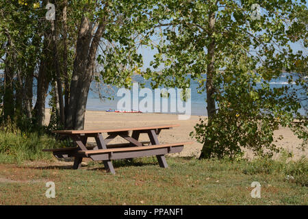 Svuotare tavolo da picnic fra alberi vicino al lago con acqua sfuggente livello e aumentare l'area della spiaggia a causa di siccità Colorado Foto Stock