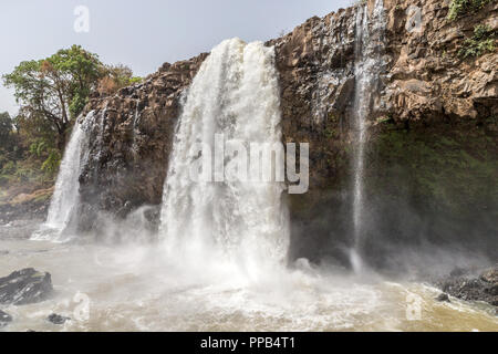 Tis Abay (fumo del Nilo) aka Tis Isat (acqua che fuma), blu Nilo waterfallls, Etiopia Foto Stock