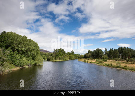 Il Fiume Spey scorre e fluisce attraverso il Loch Insh, Kincraig, Speyside, Highlands, Scotland, Regno Unito Foto Stock