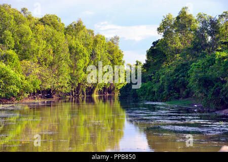 Acqua gialla Billabong, Parco Nazionale Kakadu, Territorio del Nord, l'estremità superiore, Australia Foto Stock