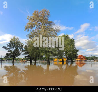 Grande alluvione presso il fiume Sava a Belgrado Nuova Foto Stock