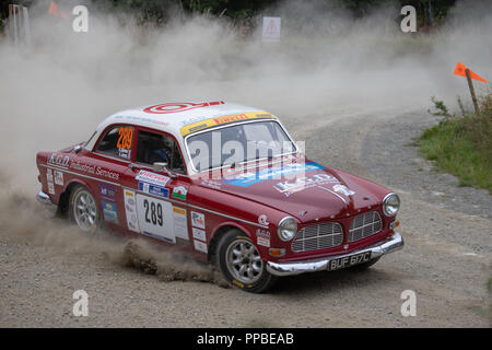 Un picchio Rally Ludlow Foto Stock