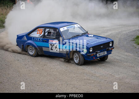 Un picchio Rally Ludlow Foto Stock