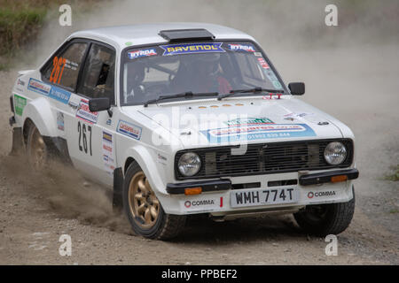 Un picchio Rally Ludlow Foto Stock