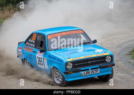 Un picchio Rally Ludlow Foto Stock