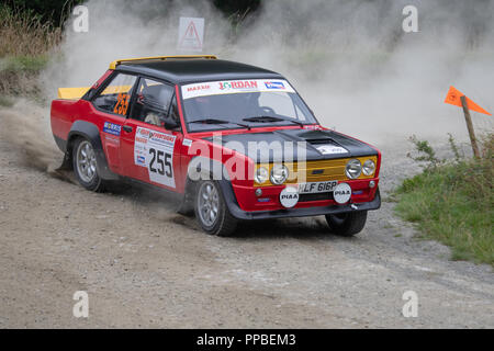 Un picchio Rally Ludlow Foto Stock