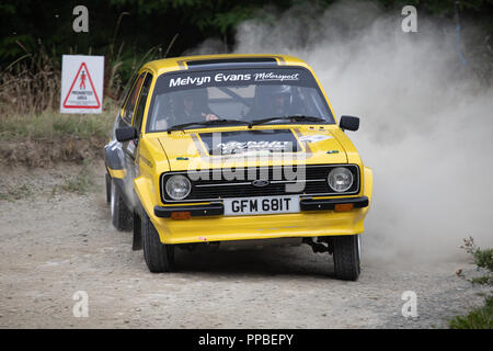 Un picchio Rally Ludlow Foto Stock