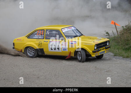 Un picchio Rally Ludlow Foto Stock