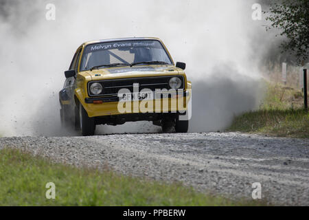 Un picchio Rally Ludlow Foto Stock