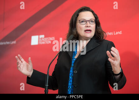 Berlino, Germania. Il 25 settembre 2018. Il 25 settembre 2018, Berlin: Andrea Nahles, presidentessa del DOCUP, ha parlato prima della riunione del gruppo parlamentare SPD nel Bundestag tedesco. Foto: Bernd von Jutrczenka/dpa Credito: dpa picture alliance/Alamy Live News Foto Stock