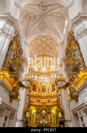 Cattedrale, interni bianchi e golden santuario, con soffitti stuccati, Catedral de Granada, Granada, Andalusia, Spagna Foto Stock