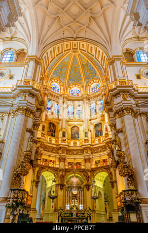 Cattedrale, interni bianchi e golden santuario, con soffitti stuccati, Catedral de Granada, Granada, Andalusia, Spagna Foto Stock