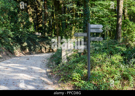 Sintra, Portogallo - 23 settembre, 2018: sentieri con segnaletica attraverso il parco incantato di un palazzo della pena di Sintra, Portogallo Foto Stock