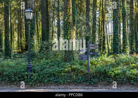 Sintra, Portogallo - 23 settembre, 2018: sentieri con segnaletica attraverso il parco incantato di un palazzo della pena di Sintra, Portogallo Foto Stock