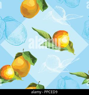 Vettore illustrazione colorata. Modello senza soluzione di continuità con il vettore e del disegno a mano frutti limone e mandarino isolato su sfondo blu. Immagine per arte e Illustrazione Vettoriale