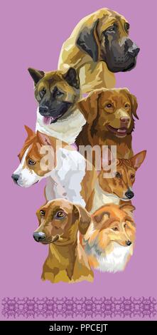 Cartolina verticale con cani di differenti razze (American Staffordshire Terrier, Nova Scotia Duck Tolling Retriever, Basenj, sheltie, Pinscher Tedesco, Illustrazione Vettoriale