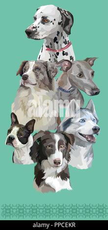 Cartolina verticale con cani di differenti razze (Border Collie; Dalmazia, Boston Terrier, siberian husky, Levriero Italiano, pastore australiano) su Illustrazione Vettoriale