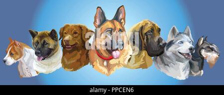 Set di vettore colorati ritratti di razze di cani (American Staffordshire Terrier, Akita Americano, Nova Scotia Duck Tolling Retriever, siberian husky,ger Illustrazione Vettoriale