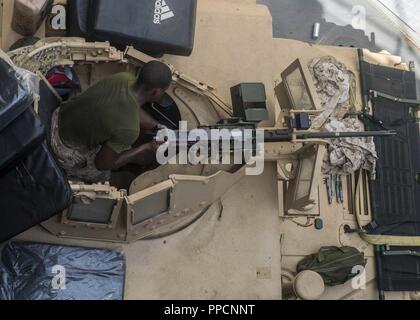 Golfo di Aden (sett. 3, 2018) - Lance Cpl. Eren Bashford esegue le operazioni di manutenzione su un 0,50 Caliber machine gun nel pozzetto mazzo di Whidbey Island-class dock landing ship USS Rushmore (LSD 47) durante una regolare distribuzione programmata dell'Essex anfibio gruppo pronto (ARG) e xiii Marine Expeditionary Unit (MEU). L'Essex ARG/XIII MEU è letale, flessibile e persistente Navy-Marine Corps team distribuito negli Stati Uniti Quinta Flotta area di operazioni a sostegno di operazioni navali per garantire stabilità marittimo e la sicurezza nella regione centrale, il collegamento per i paesi del Mediterraneo e del Pacifico attraverso il w Foto Stock