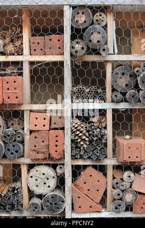 Varietà di texture e di fori offerto come un ape casa di nesting e di richiamo per mason api. Foto Stock