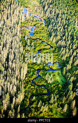 La foresta boreale nel nord Alberta, Canada vicino a Fort McMurray. Foto Stock