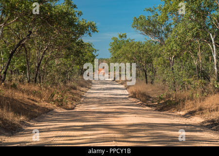 La polvere strada conduce attraverso una foresta di eucalipti, Litchfield, Australia NT Foto Stock