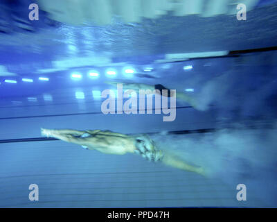 Nuotatori al 'Head-Trophy' nuotare festival di monaco di baviera Olympiaschwimmhalle. In corrispondenza di uno dei più grandi d'Europa eventi nuoto, junior gli atleti possono competere con i migliori atleti. Foto Stock