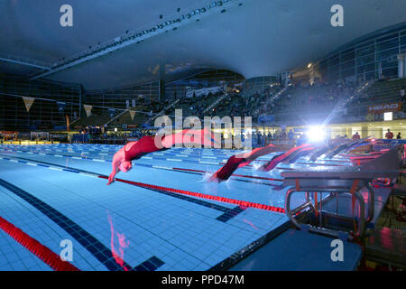 Nuotatori al 'Head-Trophy' nuotare festival di monaco di baviera Olympiaschwimmhalle. In corrispondenza di uno dei più grandi d'Europa eventi nuoto, junior gli atleti possono competere con i migliori atleti. Foto Stock