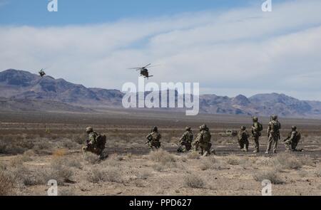 Stati Uniti Le forze speciali militari, assegnato al decimo delle forze speciali Gruppo (airborne), insieme con gli avieri dal 99th ingegnere civile Squadron EOD team e 66Rescue Squadron, guarda come due UH-60 Blackhawk elicotteri atterrare su una designata zona di atterraggio dopo l'esecuzione di un addestramento al combattimento esercizio al Nevada Test e campo di addestramento vicino alla Nellis AFB, Nevada, Agosto 28, 2018. Lo scopo di questa formazione è quello di dare le Air Force studenti andando attraverso il corso JTAC, un realistico combat mission-lo scenario di addestramento. Foto Stock