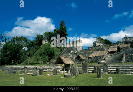 Arte precolombiana Maya. Tikal. Stele e il Nord Acropolis. La sua costruzione iniziò nel periodo Preclassic, intorno al 350 A.C. Petén regione. Guatemala. Foto Stock