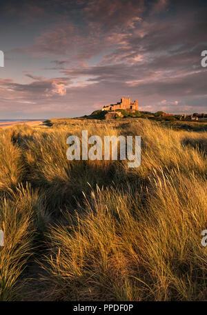Tramonto al castello di Bamburgh, Bamburgh, Northumberland, England Regno Unito Foto Stock