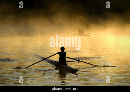 I rematori di treno sul fiume Cam di Cambridge all'alba, come early morning mist pende sopra l'acqua. Foto Stock