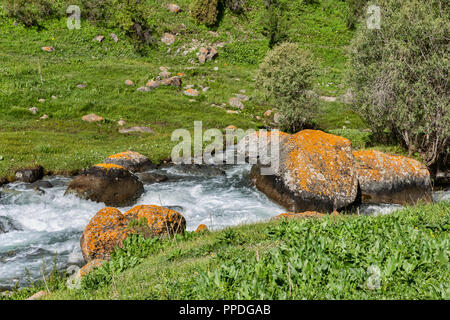 La altezze incredibili di Alay Trek nel sud-ovest del Kirghizistan che prende in 4 3000+ metro passa. Foto Stock