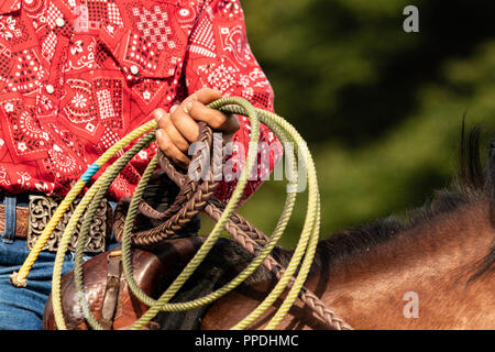 Italiano e cowboy americani, il riscaldamento in un international rodeo show. Vintage nostalgia in una giornata di sole al ranch. Redshirt, jeans blu, gli uomini. Foto Stock