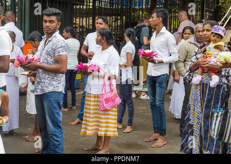 Kandy Sri Lanka Luglio 28 2017 - Persone trascinando i fiori di loto di pregare per il Buddha in un tempio di Sri Lanka Foto Stock