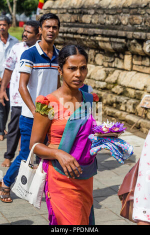 Kandy Sri Lanka Luglio 28 2017 - giovane donna trascinando i fiori di loto di pregare per il Buddha in un tempio di Sri Lanka Foto Stock