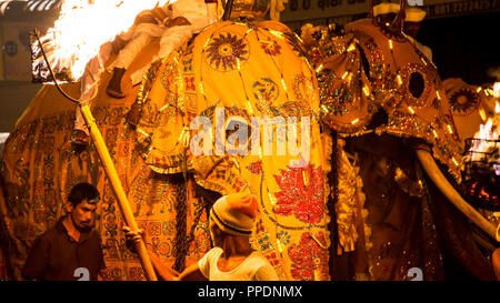 Kandy Sri Lanka Luglio 29 2017 - processione di elefanti durante il festival di Kandy. L'elefante in medio è trascinando il dente reliquia del T Foto Stock