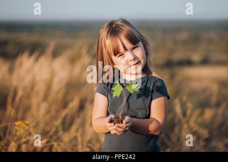 Childs mani tenendo un piccolo albero di acero Blured sfondo Foto Stock