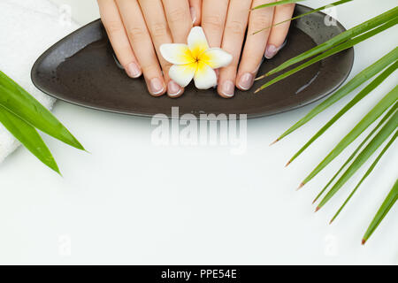 Spa manicure. Bella mani femminili in un recipiente di acqua con fiore tropicale Foto Stock