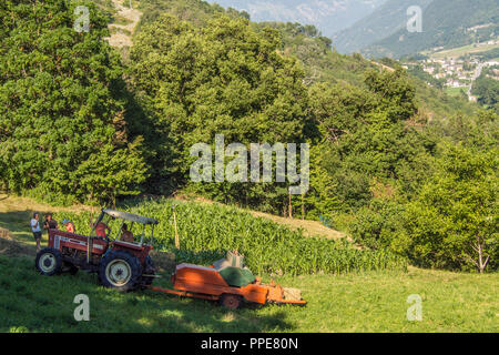 Fieno presso l'Agriturismo Les Granges in Valle d'Aosta Foto Stock